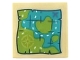 Part No: 3068pb2397  Name: Tile 2 x 2 with Lime and Dark Turquoise Map with Compass and 'X' Pattern (Sticker) - Set 41410