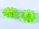 Lot ID: 409061034  Part No: 45455c02  Name: Clikits, Icon Flower 10 Petals 2 x 2 Large with Pin, Frosted with Glued Trans-Yellow Center Cabochon