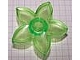 Lot ID: 347866694  Part No: 6510  Name: Duplo, Plant Flower with Stud