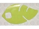Part No: clikits145  Name: Clikits, Icon Accent Plastic Leaf 6 x 4 with Cutouts