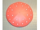Lot ID: 259405706  Part No: 6993pb01  Name: Scala Umbrella Top - Large with Pink Dots Pattern (Stickers) - Set 3240