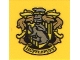 Lot ID: 377964624  Part No: 3068pb1260  Name: Tile 2 x 2 with HP 'HUFFLEPUFF' House Crest Pattern