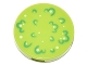 Part No: 14769pb0093  Name: Tile, Round 2 x 2 with Bottom Stud Holder with Green Foliage and White Spots Pattern