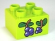 Part No: 3437pb054  Name: Duplo, Brick 2 x 2 with Berries and Leaves Pattern