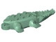 Part No: 18904  Name: Alligator / Crocodile Body with 10 Bottom Teeth