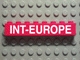Lot ID: 389889925  Part No: 3008pb035  Name: Brick 1 x 8 with 'INT-EUROPE' Sans-Serif Pattern