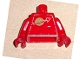 Lot ID: 276714230  Part No: 973pb0067c01  Name: Torso Space Classic Moon Pattern (Sticker) / Red Arms / Red Hands