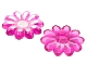 Lot ID: 409061029  Part No: 46281pb01  Name: Clikits, Icon Flower 10 Petals 2 x 2 Large with Pin, Polished with Silver Center and Petal Highlights Pattern