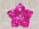 Lot ID: 391460084  Part No: 53658  Name: Clikits, Icon Flower 5 Pointed Petals 2 x 2 Large with Hole