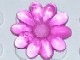 Lot ID: 10088801  Part No: clikits020u  Name: Clikits, Icon Flower 10 Petals 2 x 2 Large with Pin (Undetermined Type)