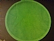 Part No: 22531  Name: Duplo, Doll Cloth Rug Round 12 x 12