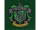 Part No: 3068pb1258  Name: Tile 2 x 2 with HP 'SLYTHERIN' House Crest Pattern