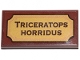 Part No: 87079pb0654  Name: Tile 2 x 4 with 'TRICERATOPS HORRIDUS' Pattern (Sticker) - Set 21320