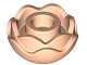 Part No: 5904 Name: Plant Flower Round with 2 Layers (Peony Rose) with Open Stud and Small Pin Hole Part No: 5904 Name: Plant Flower Round with 2 Layers (Peony Rose) with Open Stud and Small Pin Hole