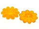 Part No: 45455  Name: Clikits, Icon Flower 10 Petals 2 x 2 Large with Pin, Frosted (Solid and Transparent Colors)