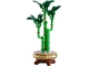 Set No: 10344  Name: Lucky Bamboo