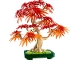 LEGO: Japanese Maple Tree | 10348-1