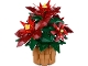 Set No: 10370  Name: Poinsettia