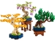 Set No: 10373 Name: Mini Bonsai Trees Set No: 10373 Name: Mini Bonsai Trees