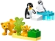 Set No: 10442 Name: Wild Animal Families: Penguins & Lions Set No: 10442 Name: Wild Animal Families: Penguins & Lions