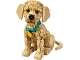 Set No: 11384  Name: Golden Retriever Puppy