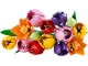 Set No: 11501  Name: Tulip Bouquet