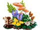Set No: 11505 Name: Woodland Mushrooms Set No: 11505 Name: Woodland Mushrooms