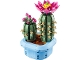 Set No: 11509  Name: Flowering Cactus
