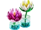 Set No: 11511  Name: Water Lilies