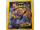 Set No: 212506 Name: Batgirl paper bag Set No: 212506 Name: Batgirl paper bag