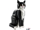 Lot ID: 414381040  Set No: 21349  Name: Tuxedo Cat