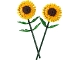 Set No: 40524  Name: Sunflowers
