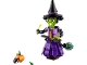 Set No: 40562  Name: Mystic Witch