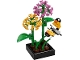 Set No: 5009408  Name: Butterfly Garden