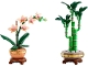 Set No: 66809 Name: Botanicals Bundle Pack (Sets 10343 and 10344) - Evergreen Collector's Set Set No: 66809 Name: Botanicals Bundle Pack (Sets 10343 and 10344) - Evergreen Collector's Set
