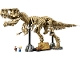 Set No: 76968 Name: Dinosaur Fossils: Tyrannosaurus rex Set No: 76968 Name: Dinosaur Fossils: Tyrannosaurus rex