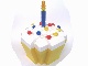 Set No: LLCA51  Name: Legoland California 10th Birthday Cupcake Box  (LLCA Ambassador Pass Exclusive)