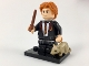Set No: colhp  Name: Ron Weasley, Harry Potter, Series 1 (Complete Set with Stand and Accessories)