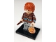Set No: colhp2  Name: Ron Weasley, Harry Potter, Series 2 (Complete Set with Stand and Accessories)