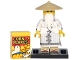 Set No: coltlnm  Name: Master Wu, The LEGO Ninjago Movie (Complete Set with Stand and Accessories)