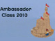 Set No: llca52  Name: Sand Castle - Ambassador Class 2010 (LLCA Ambassador Pass Exclusive)