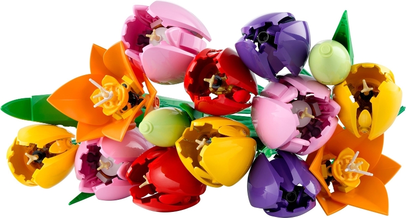 Tulip Bouquet