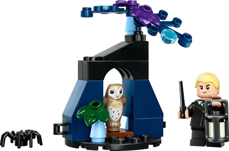 LEGO set: 30677-1, Draco in the Forbidden Forest polybag