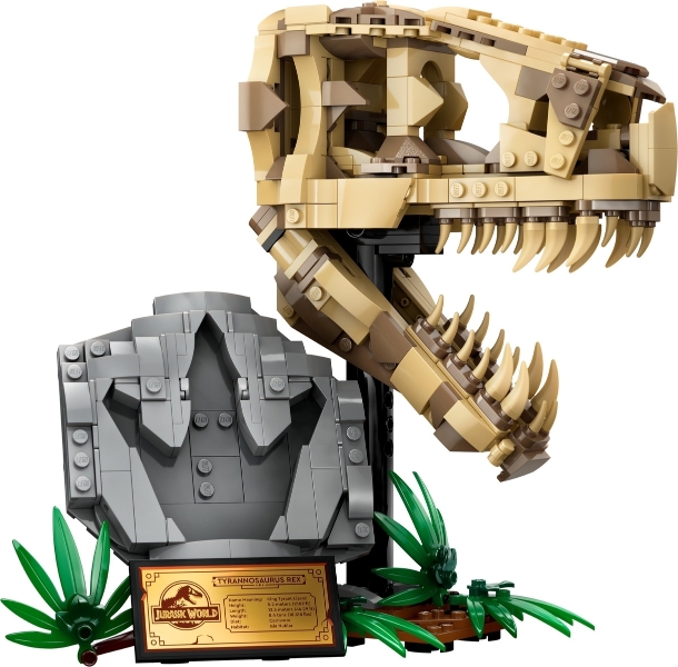 LEGO set: 76964-1, Dinosaur Fossils: T. rex Skull