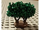 invID: 142795654 P-No: GTBush  Name: Plant, Tree Granulated Bush with 2 Trunks