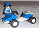 invID: 186330591 S-No: 6618  Name: Blue Racer