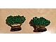 invID: 139602543 P-No: GTBush  Name: Plant, Tree Granulated Bush with 2 Trunks