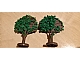 invID: 139602758 P-No: GTFruit  Name: Plant, Tree Granulated Fruit
