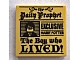invID: 247656879 P-No: 3068pb1156  Name: Tile 2 x 2 with Newspaper, 'the Daily Prophet', 'EXCLUSIVE HARRY POTTER', 'The Boy who LIVED!', and Image of Boy with Glasses Pattern