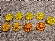 invID: 257172292 P-No: 46282  Name: Clikits, Icon Flower 10 Petals 2 x 2 Small with Pin, Polished (Transparent Colors Only)